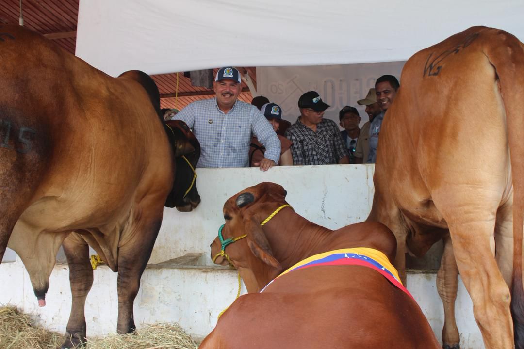 Feria Expocomercail Ganadera de Rosario de Perijá es una muestra del Zulia potencia