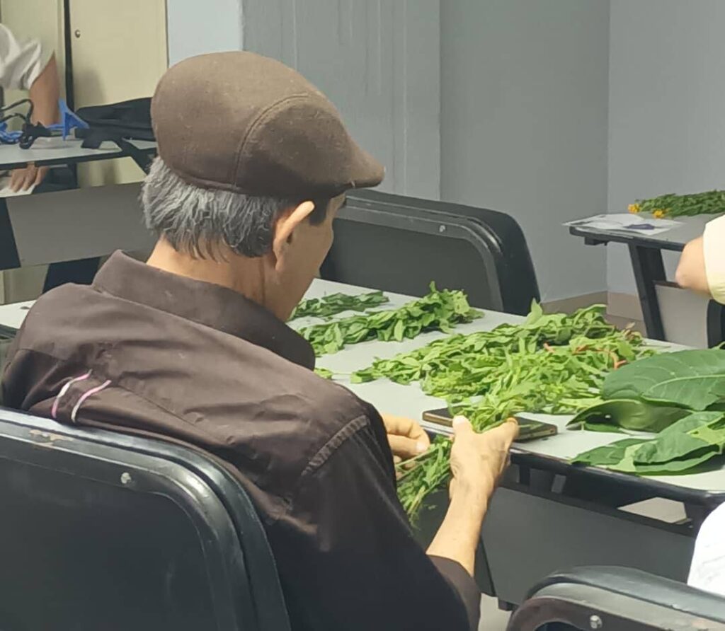 Agronomo zuliano propone formación agroecológica bajo el modelo comunal para fortalecer la produccion económica alimentaria