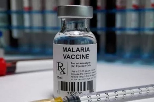 Vacuna Malaria UNICEF, Precio Vacunas Gavi,