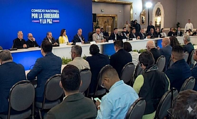 Consejo Nacional por la Soberanía y la Paz
