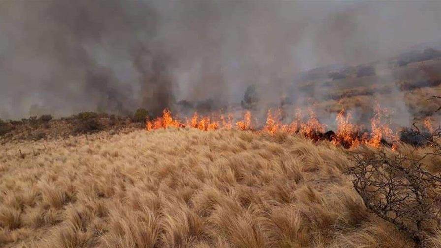 incendios forestales en Argentina