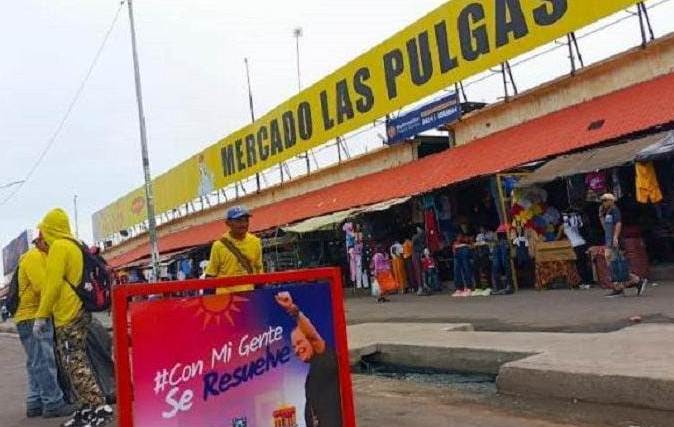 Fumigación Mercado Las Pulgas