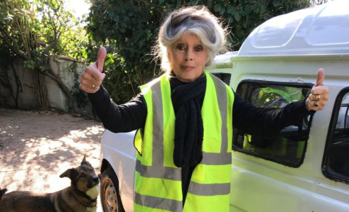 El **legado de Brigitte Bardot** combina su éxito en la gran pantalla con una vida personal marcada por el activismo animal y posturas políticas radicales.