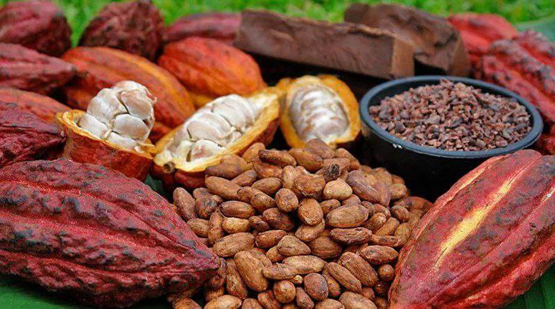 Exportaciones de cacao nacional