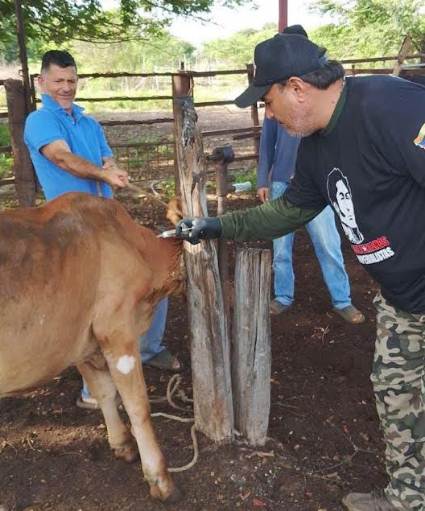 Jornada de vacunación contra fiebre aftosa en Maracaibo dirigida a productores locales