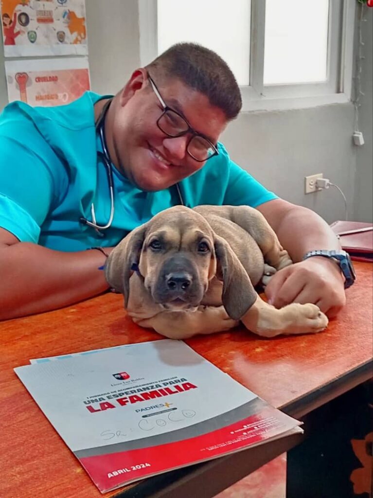 277 mascotas atendidas en San Francisco