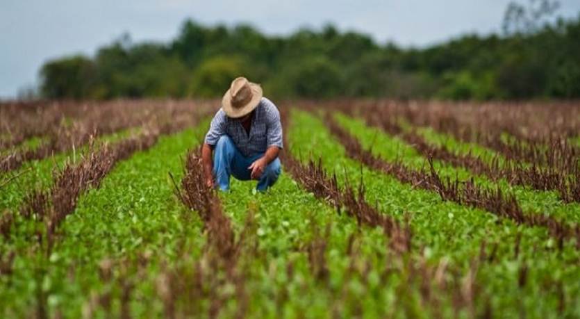 Producción y cosecha de rubros en el sector agrícola en Venezuela