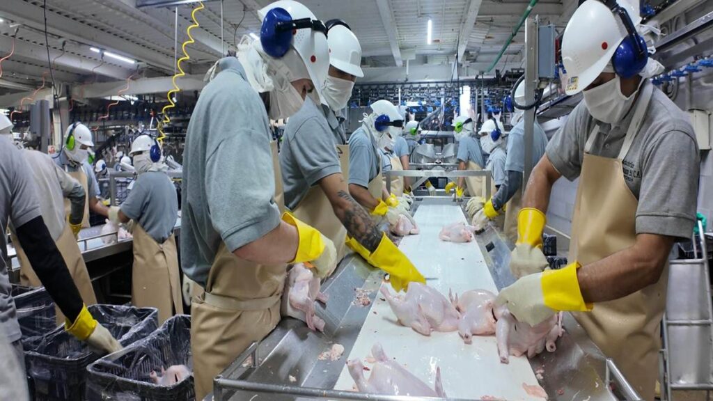 Fedeindustria, prevé crecimiento de la economía en Venezuela