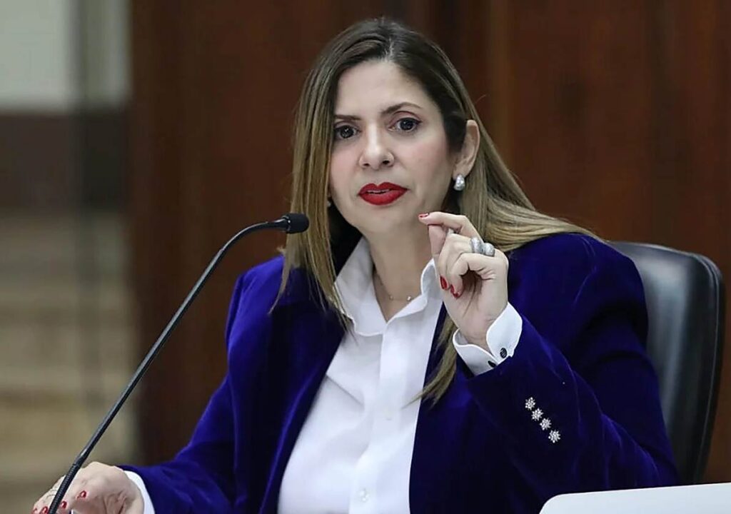Diputada Nora Bracho durante entrevista sobre la Ley de Amnistía para la Convivencia Democrática
