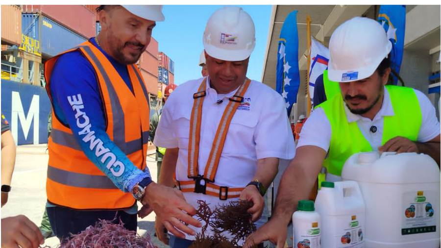 Carga de contenedores con algas marinas y productos pesqueros en el Puerto El Guamache para exportación.