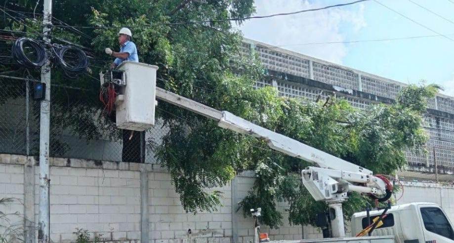 Cuadrillas de Corpoelec realizando poda de árboles cerca de líneas de alta tensión en Maracaibo