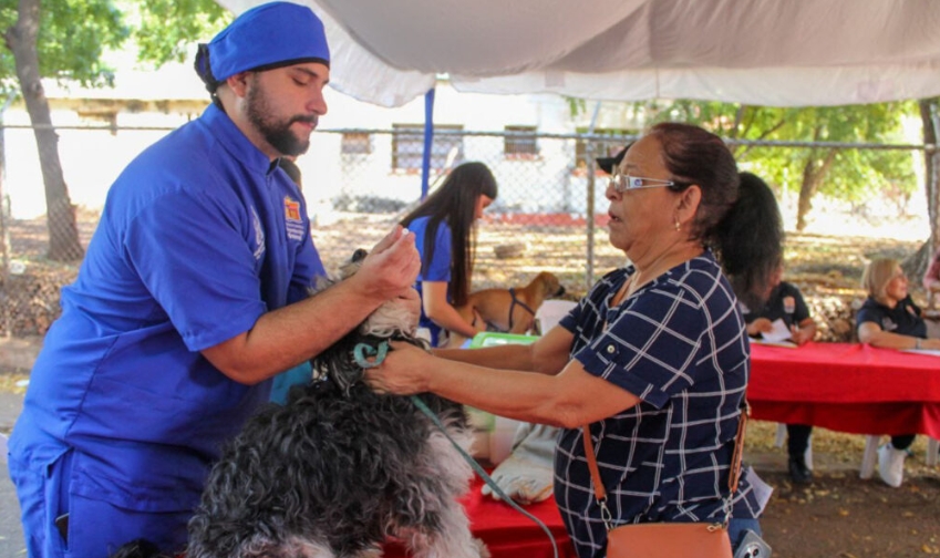 Más de 4.200 mascotas fueron atendidas por el Impa en Maracaibo en el primer trimestre de 2026