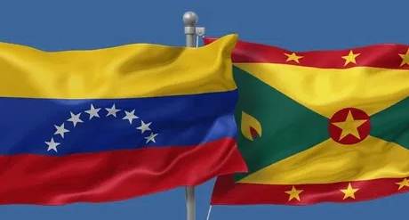 Reunión oficial entre Delcy Rodríguez y el Primer Ministro de Grenada Dickon Mitchell