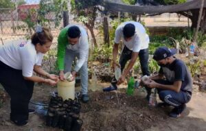 La Misión Árbol fortalece los viveros en la región.