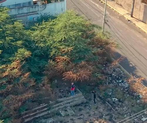 La Alcaldía de Maracaibo multará a dueños de terrenos abandonados desde el 24 de abril