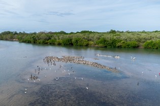 Ecoturismo en parques nacionales impulsa Venezuela