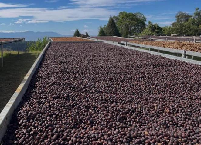Maracaibo recibe la I Feria Artesanal de Café, Cocuy, Cacao y Miel este 9 y 10 de mayo en el Hotel Tibisay