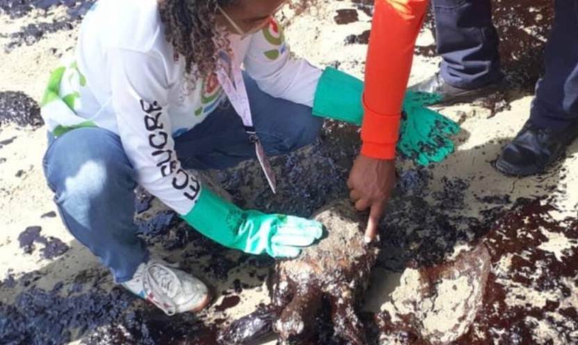 Autoridades venezolanas monitorean derrame de crudo en el Golfo de Paria proveniente de Trinidad