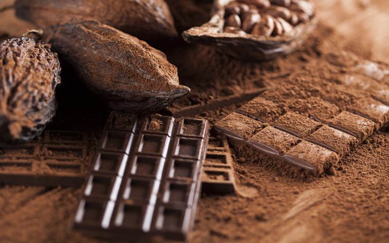 Este 8 de junio se conmemora el Día del Chocolate Venezolano