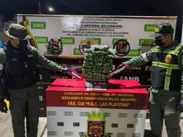 Efectivos de la GNB incautaron panelas de cocaína en Mérida y desmantelaron redes de microtráfico en el Zulia, Táchira y Miranda