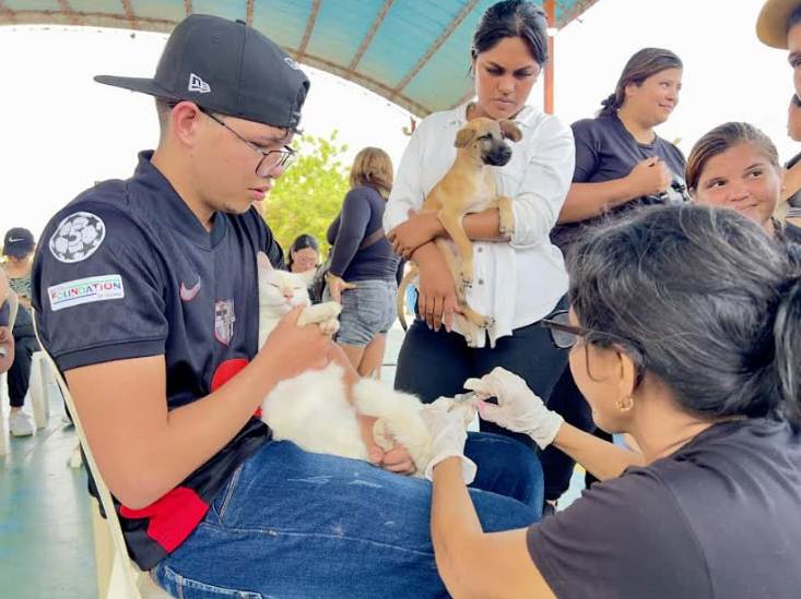 Misión Nevado activará una jornada de atención veterinaria en San Francisco Zulia este 13 de junio con vacunas gratis
