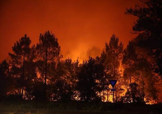 Las autoridades en Francia evacuan a más de 8 mil personas por un incendio forestal cerca de Burdeos