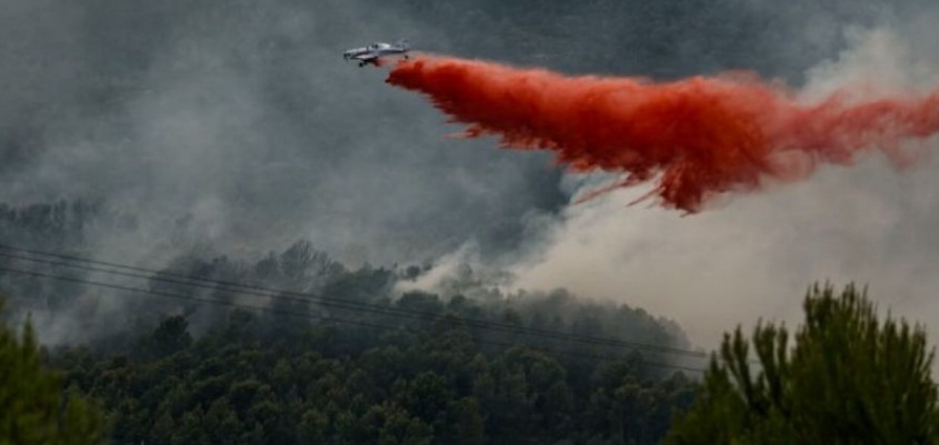 Los incendios forestales en España afectan más de 172 mil hectáreas.