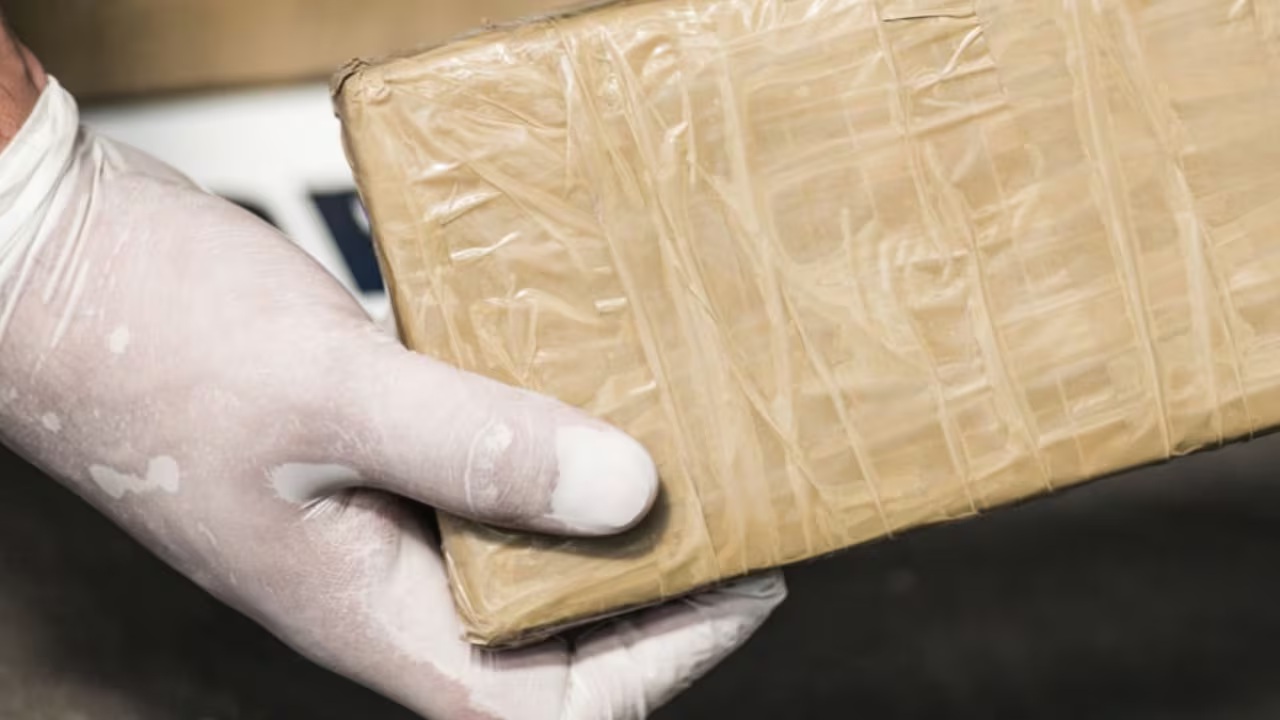 Fuerzas de seguridad incautan 3,34 toneladas de cocaína en Temblador, estado Monagas