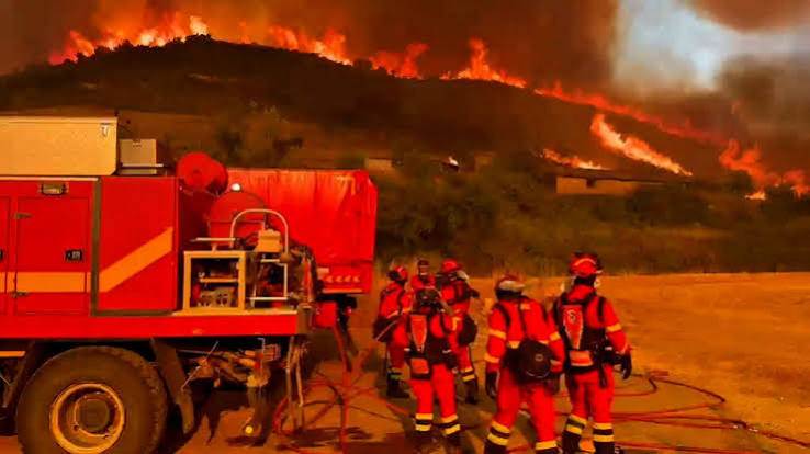 El incendio cerca de Zaragoza ya supera las 12.000 hectáreas