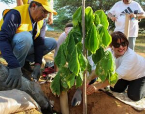 El Concejo Municipal de Maracaibo debate la nueva Ordenanza de Arboricultura Urbana para mitigar el cambio climático