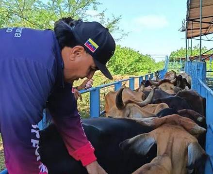 Conoce cómo los agroproductores de Maracaibo aportan el 48% de los alimentos del municipio