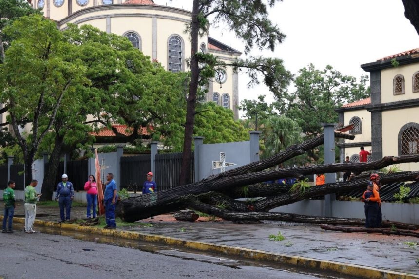 Fuertes precipitaciones y ráfagas de viento provocaron la caída de árboles, anegaciones viales y daños materiales en Maturín