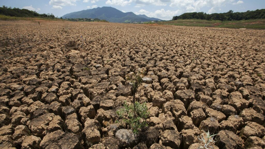 Conoce los anuncios de la Presidenta Delcy Rodríguez sobre la recuperación de 300 MW en TermoCarabobo y el plan nacional frente al «Súper Niño»