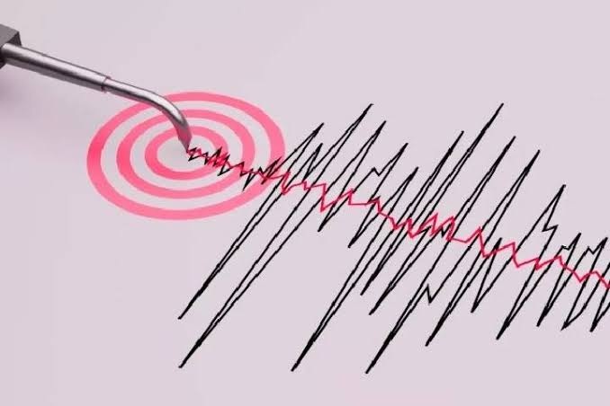 Funvisis reportó dos sismos seguidos de magnitud 3.1 en Venezuela