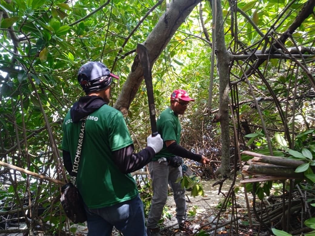 La Alcaldía del municipio Miranda y PDVSA Gas inician la primera fase de saneamiento en el manglar de Las Playitas