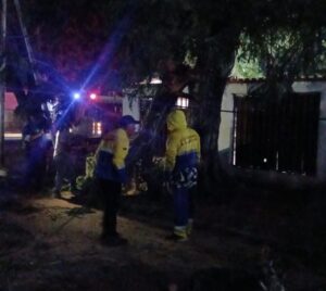 Cuadrillas de la Alcaldía de Maracaibo y el IMA realizando labores de despeje y poda de árboles caídos en sector de la ciudad