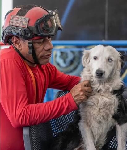 Conoce todos los detalles sobre la visita del perro rescatista Tsunami a Maracaibo