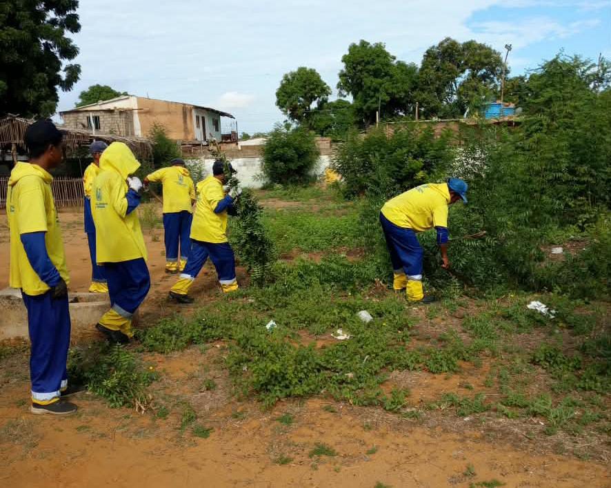 Cuadrillas de la Alcaldía de Maracaibo realizan trabajos de desmalezamiento en plazas de Maracaibo Oeste.