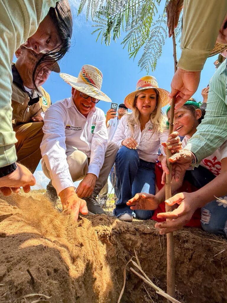 Conoce los detalles de la siembra de más de 3.000 árboles autóctonos en la Vereda del Lago de Maracaibo