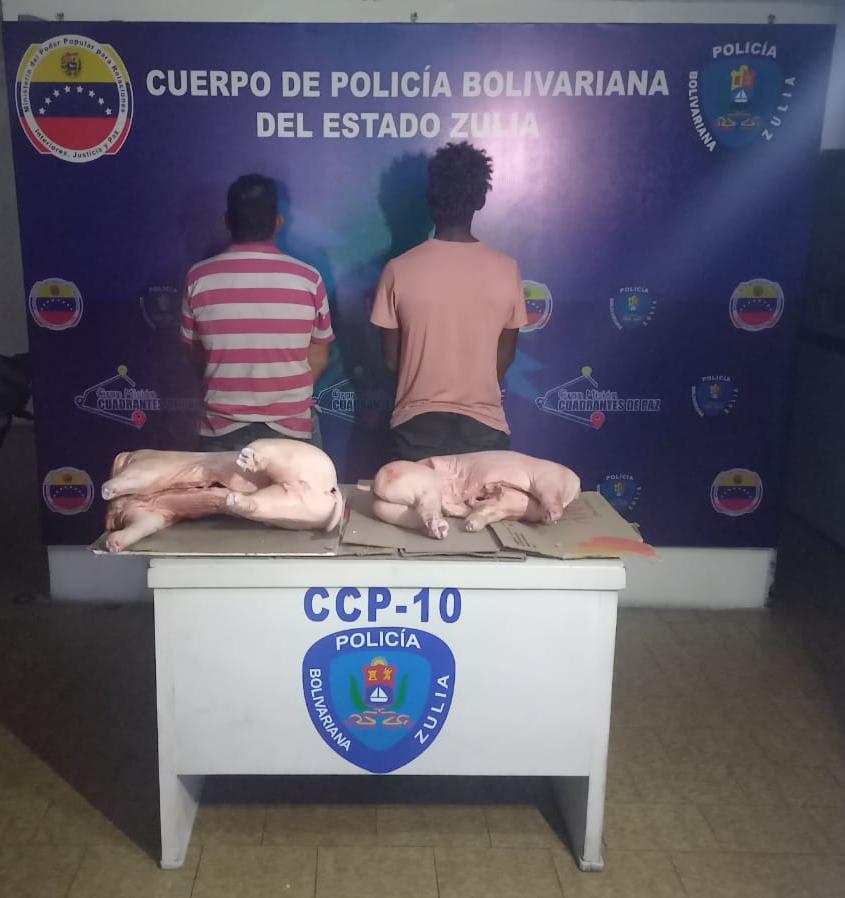 Funcionarios del Cpbez en el municipio Sucre tras operativo por abigeato capturaron a dios personas