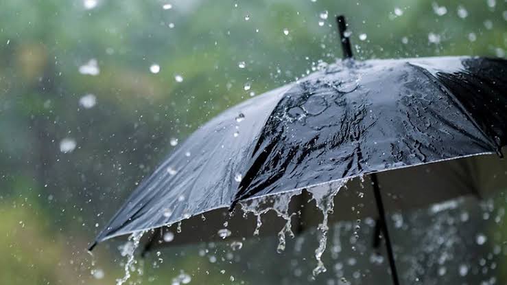 El Inameh prevé precipitaciones y chubascos de variada intensidad en gran parte de Venezuela este jueves